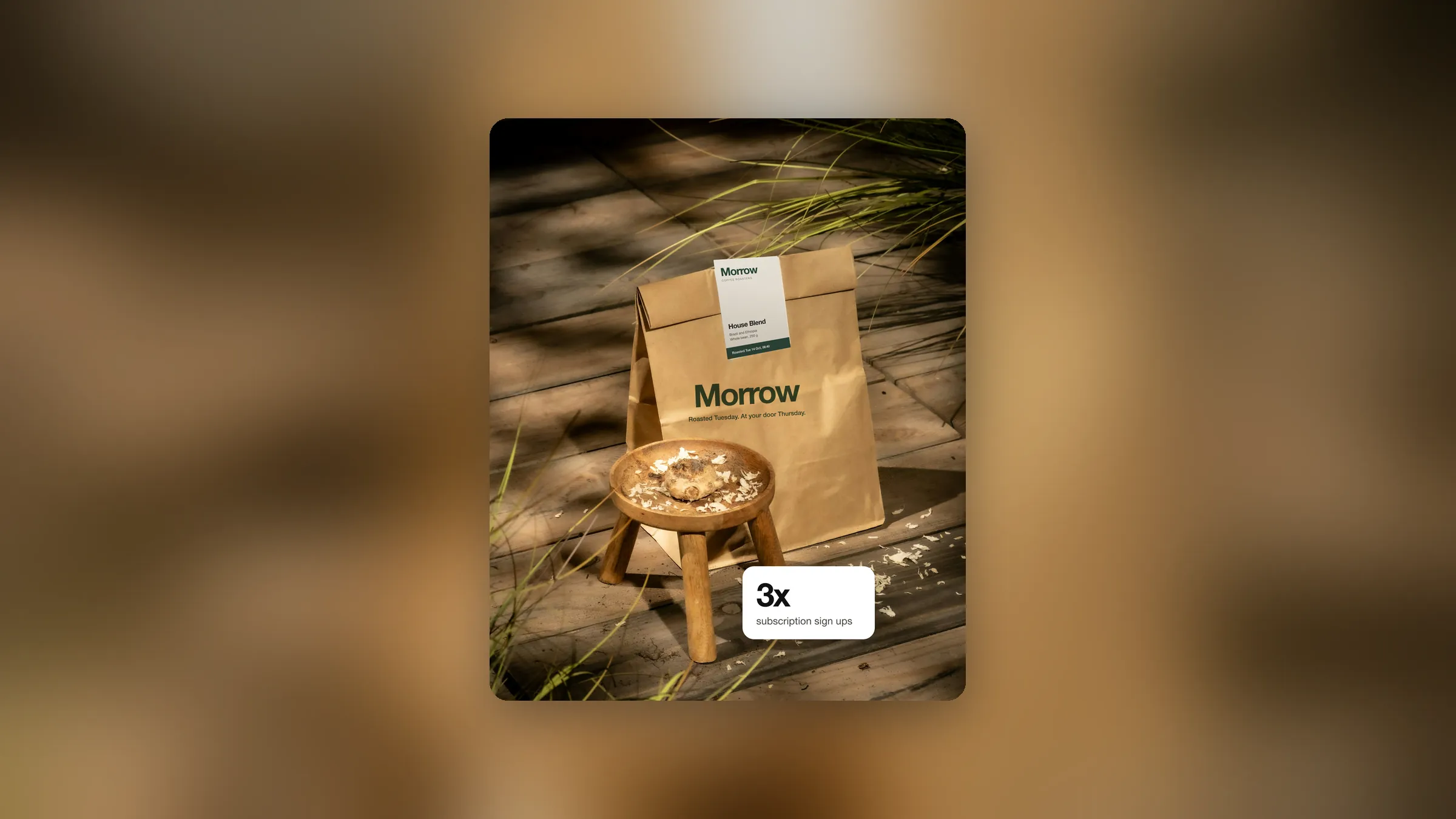 Branding by Enthros